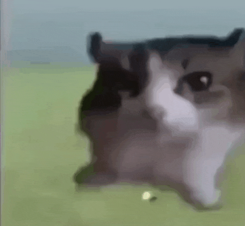 me